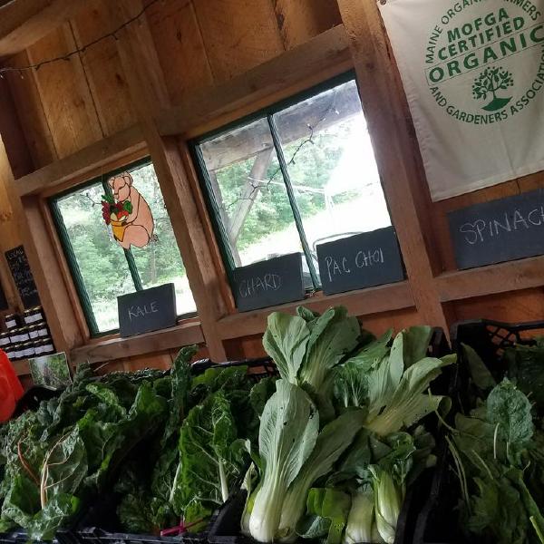 Summer Share 2026 (Flex)