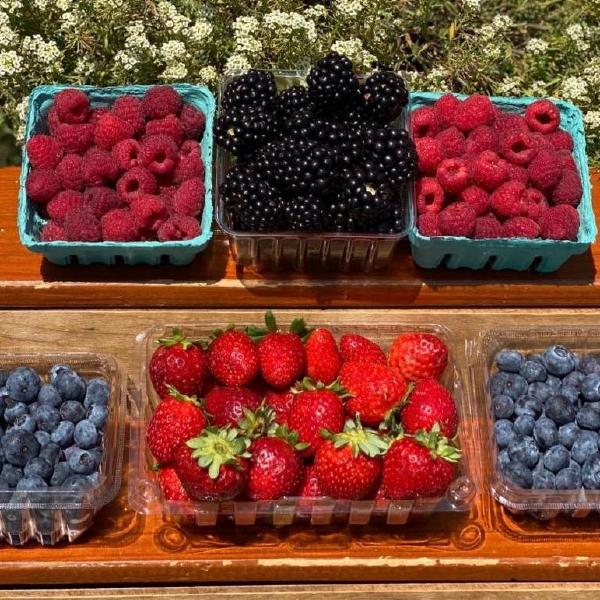 2025 Summer Farm Share