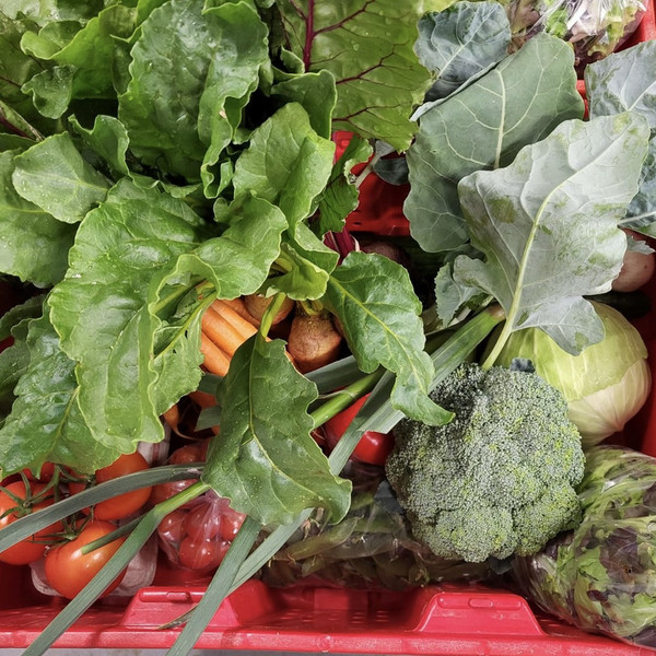 2025 Summer Share - Large