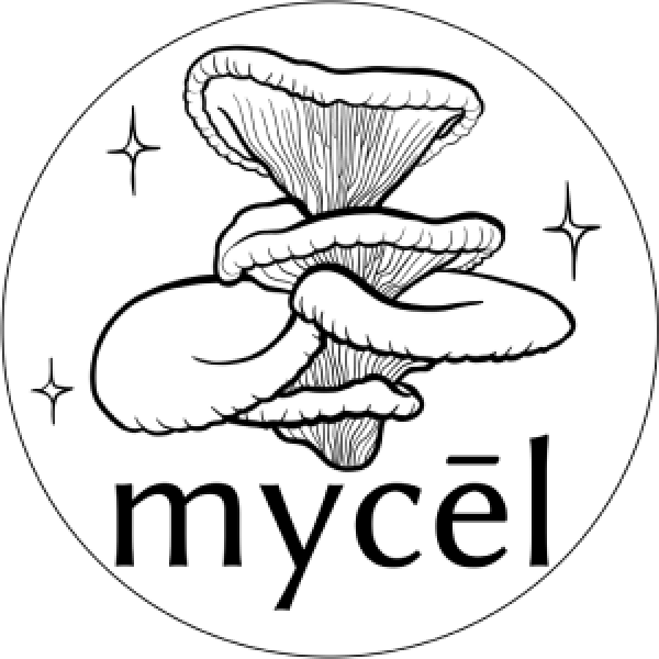 Weekly Organic Mushroom Share, Farmer's Choice