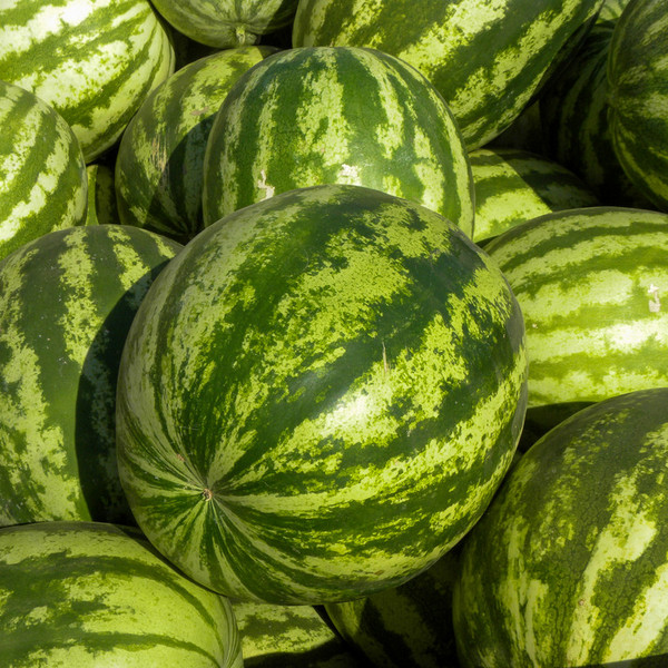 Watermelon