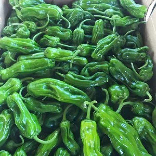 Peppers, Shishitos