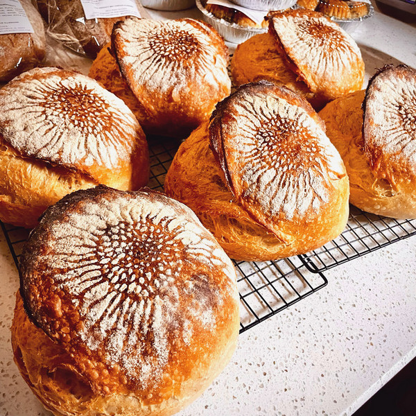 Palyanitsa