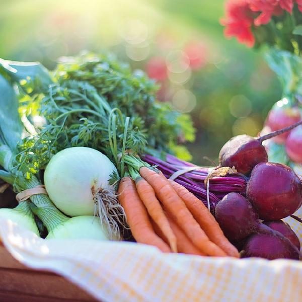 2026 Farm Share