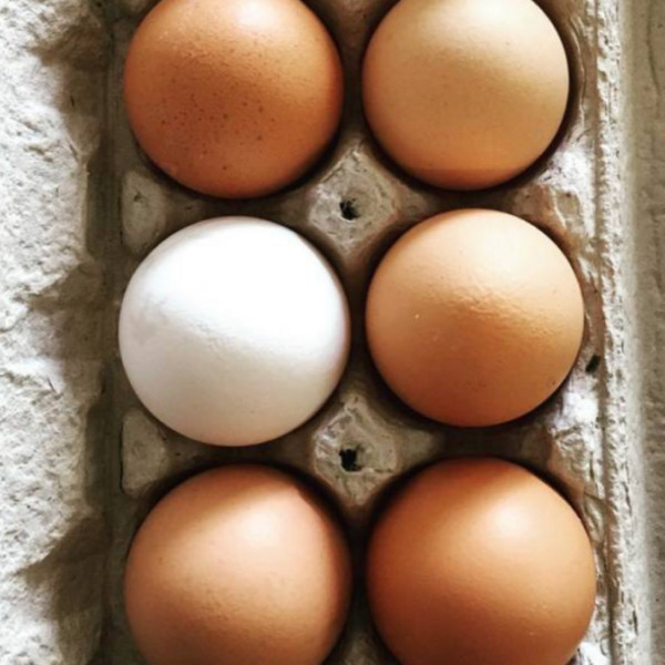 Organic Local Eggs