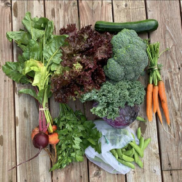 Organic Produce Box