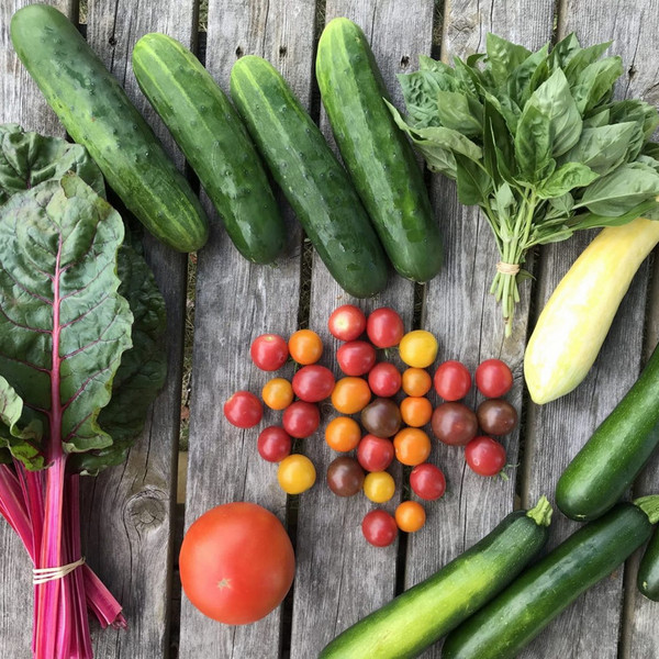 Veggie Box - Spring/Summer