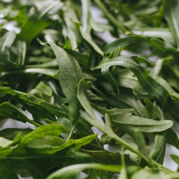 Arugula