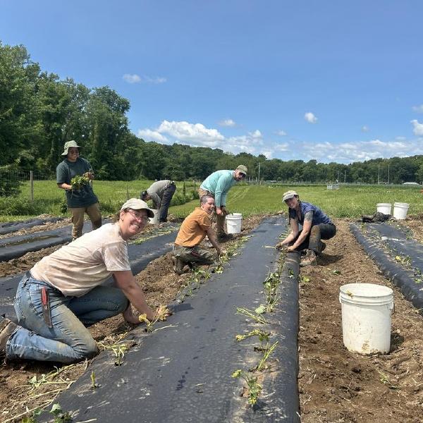 2026 CSA: Whole Workshare, June-Nov