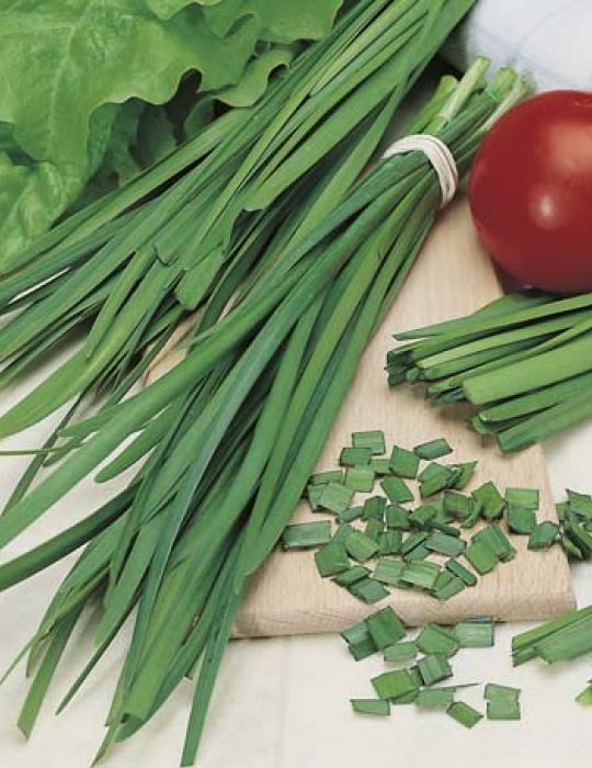 Chives, Garlic