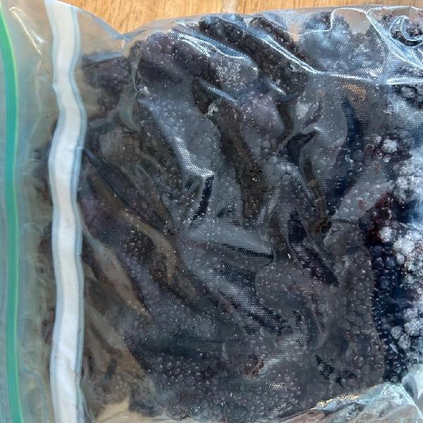 Frozen Blackberries