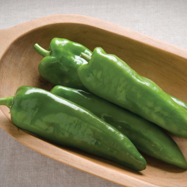 Anaheim Chili Pepper