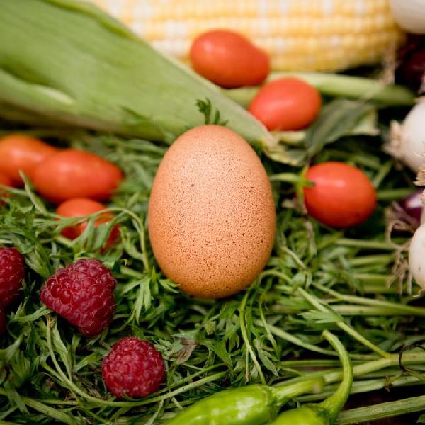 TRACTOR CSA One-Time Sampler