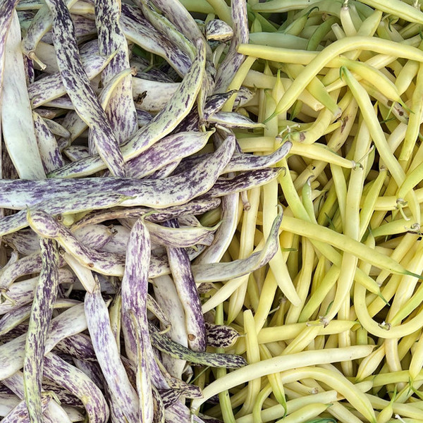 String Beans