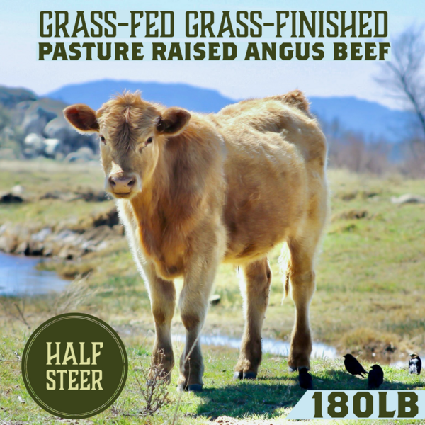 1/2 Steer Grass-Fed, Grass-Finished Beef (180lbs)