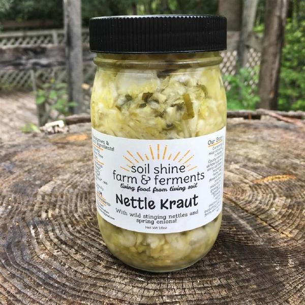 Nettle Kraut