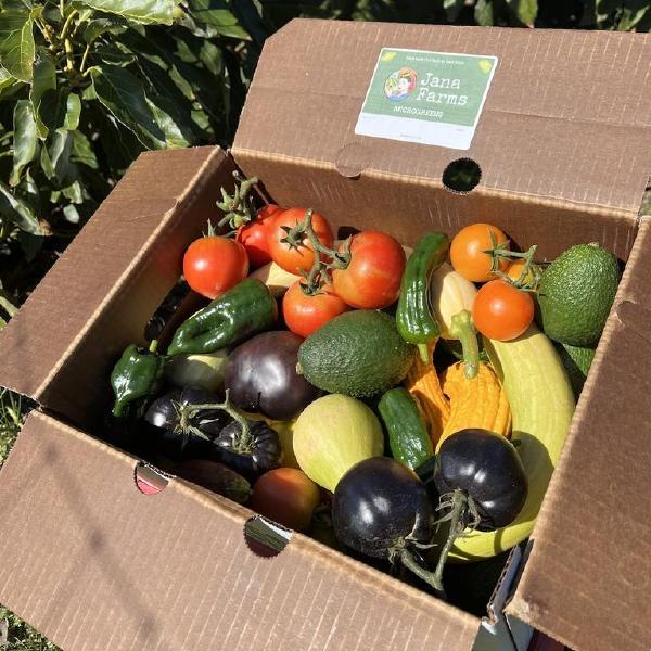 CSA Box - One Time Purchase