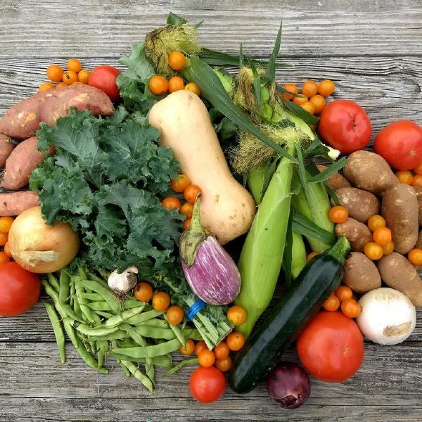 2026 Summer Veggie Share