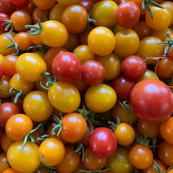 Cherry Tomato Medley