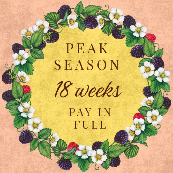 2026 Peak Season CSA - Pay in Full