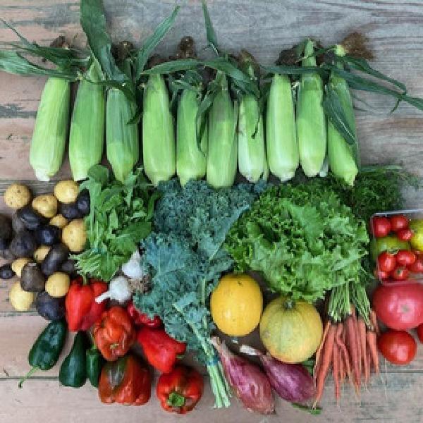 Summer CSA Share 2026 (Whole Season or Split)