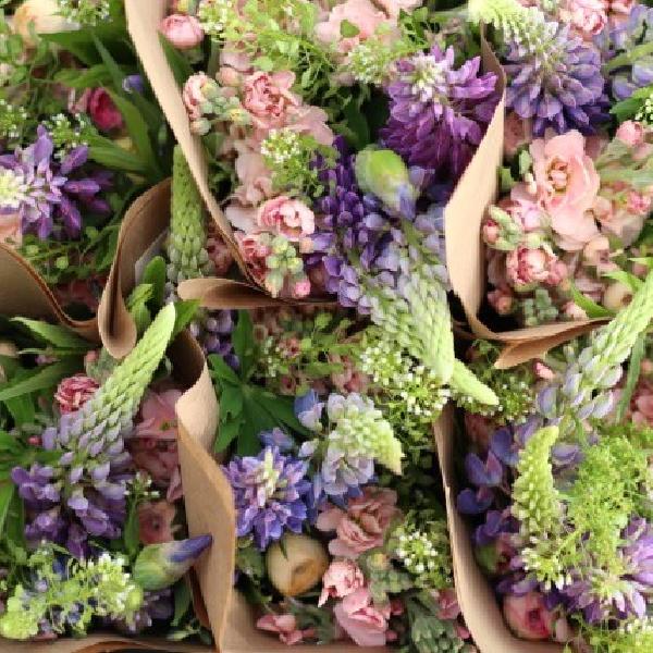 2025 Wild Hollow Flower Share