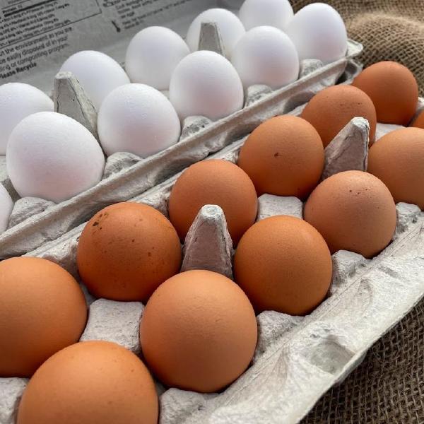 Eggs