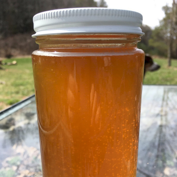 Catskills Wildflower Honey