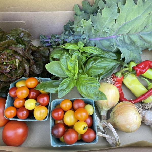 CROP BOX 2025