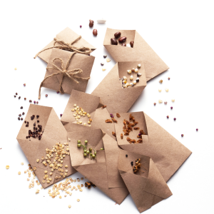 Seeds