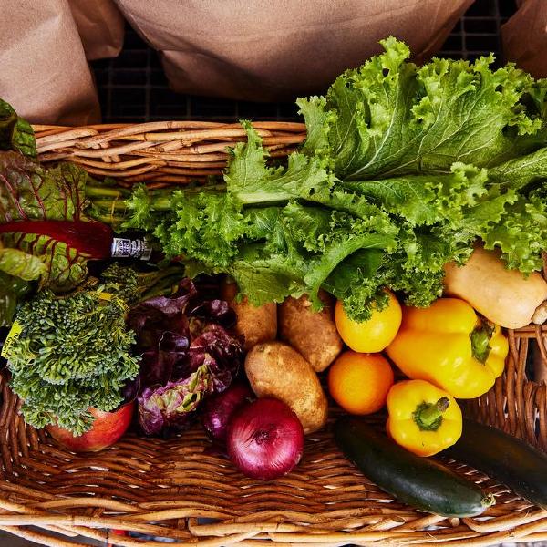 Urban Tilth’s Farm to Table CSA