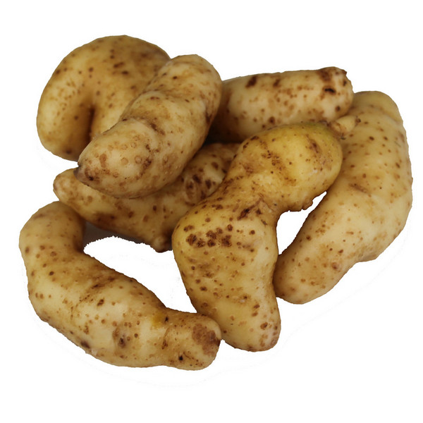 Certified Organic Potatoes