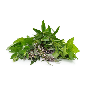 Herbs & Health