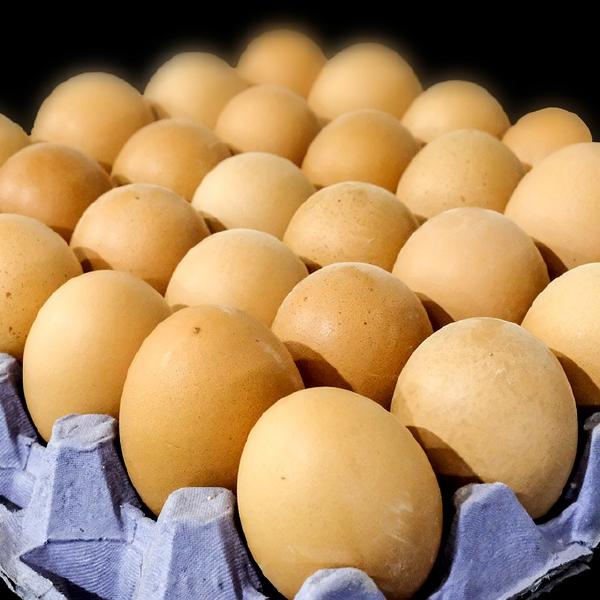 Eggs