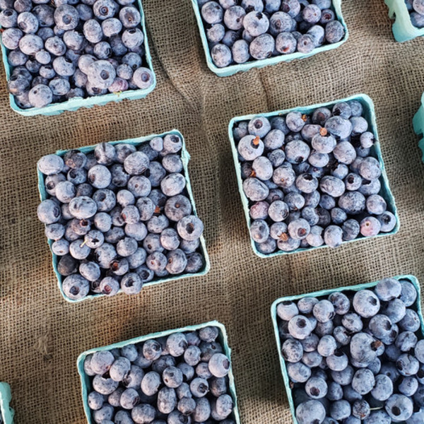 Blueberries