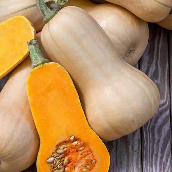 Butternut Winter Squash
