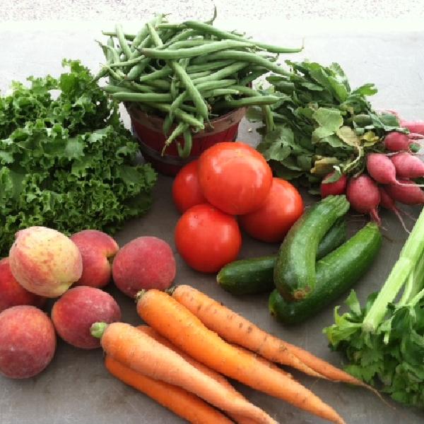 2025 Summer CSA Share