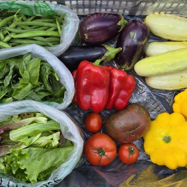 2026 Summer Customizable