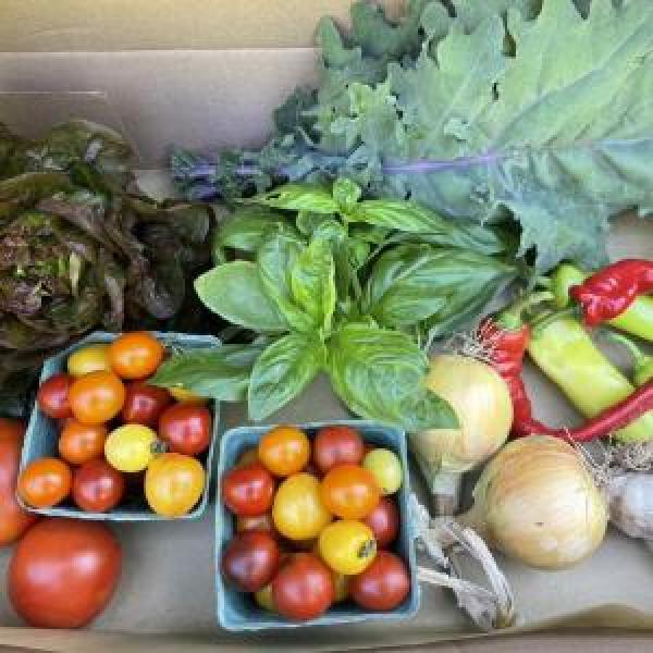 CROP BOX 2026