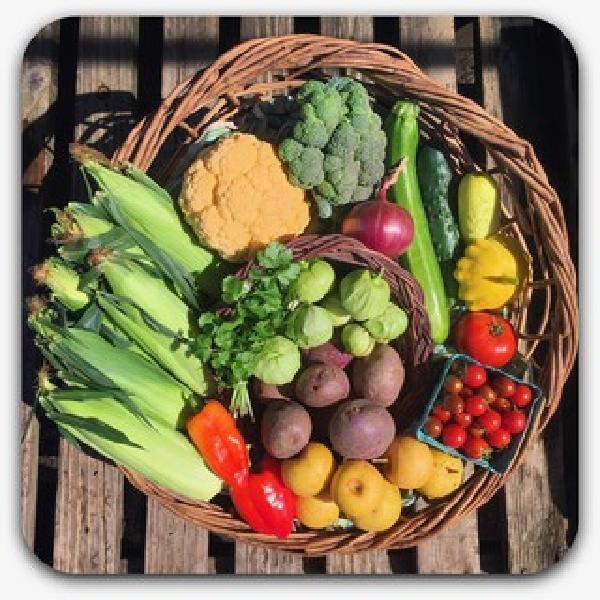 2026 Summer CSA July 8 - September 23