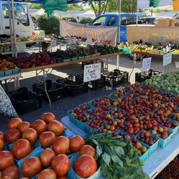 2025 Farmers Market / On Farm Pickup Share