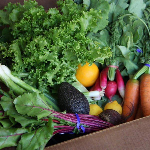 CSA SHARE SMALL