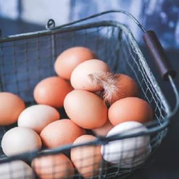 Eggs - Half Share