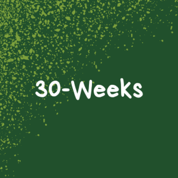 30-Weeks - Friday Pick Up