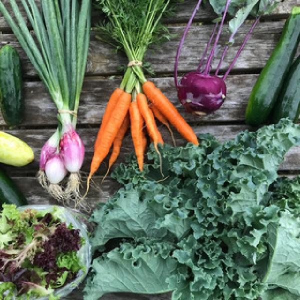 Veggie Box - Fall2025/Winter2026