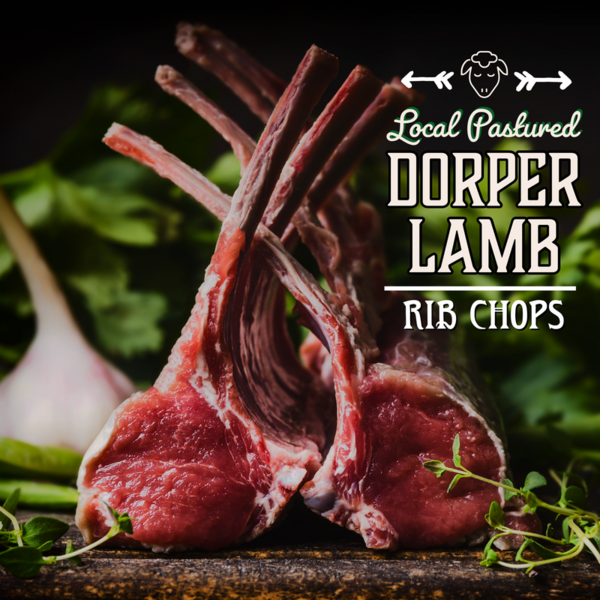 Dorper Lamb Chops