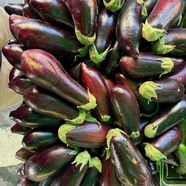 Eggplant