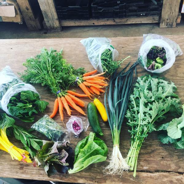 2025 Farm Food Share