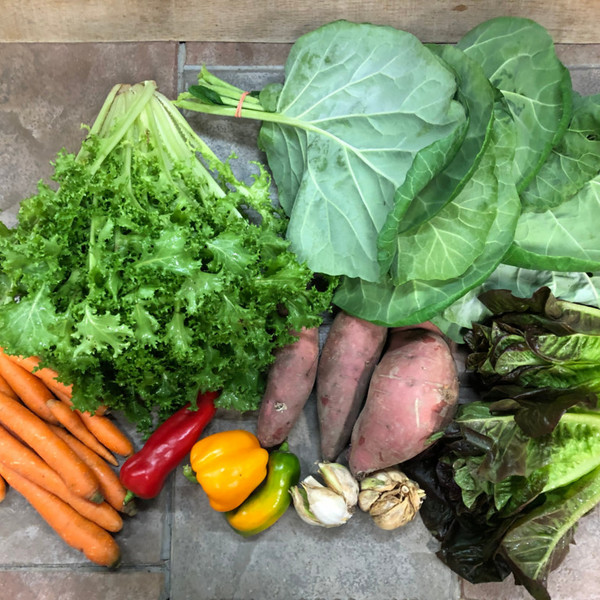 2025 Fall CSA - 10 Weeks