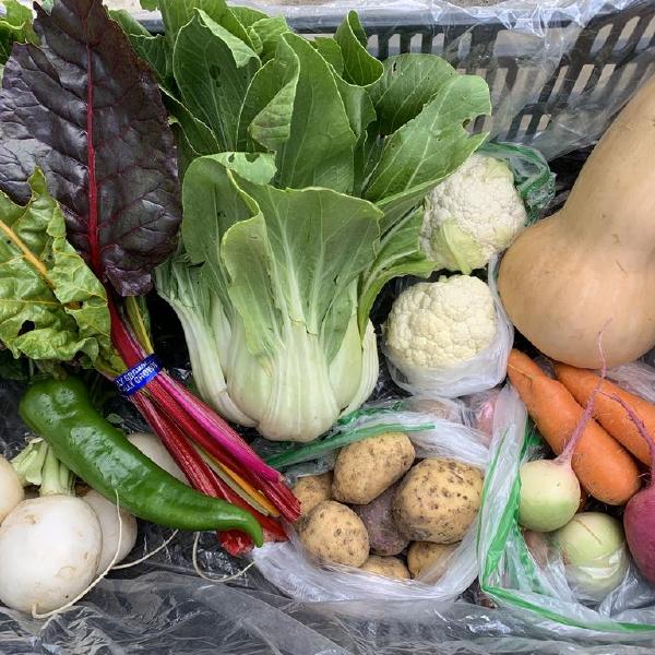 2026 Fall Farmers Choice